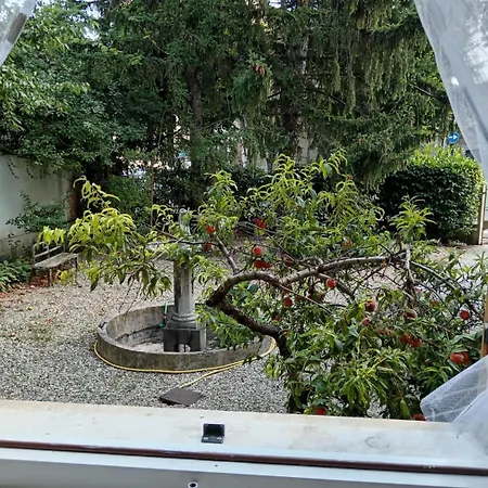 Toriani Novi Ligure
